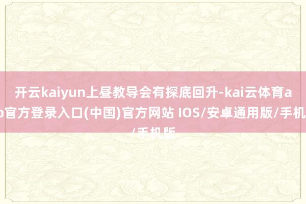开云kaiyun上昼教导会有探底回升-kai云体育app官方登录入口(中国)官方网站 IOS/安卓通用版/手机版