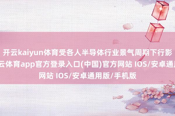 开云kaiyun体育受各人半导体行业景气周期下行影响较大-kai云体育app官方登录入口(中国)官方网站 IOS/安卓通用版/手机版