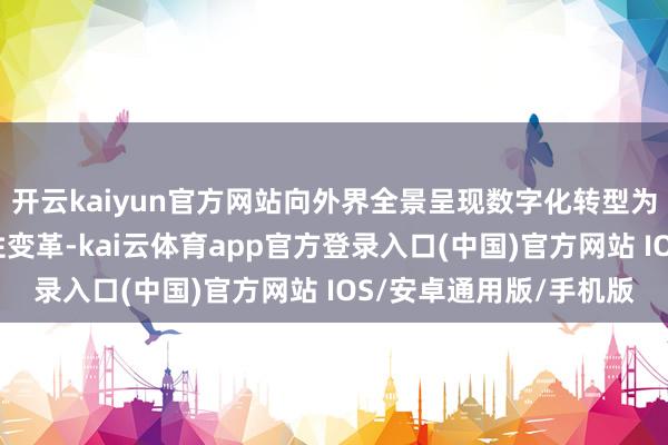 开云kaiyun官方网站向外界全景呈现数字化转型为城市救急带来的立异性变革-kai云体育app官方登录入口(中国)官方网站 IOS/安卓通用版/手机版