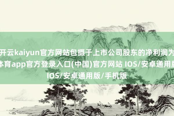 开云kaiyun官方网站包摄于上市公司股东的净利润为2-kai云体育app官方登录入口(中国)官方网站 IOS/安卓通用版/手机版